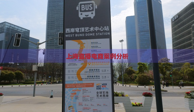 上海直播电商案例分析